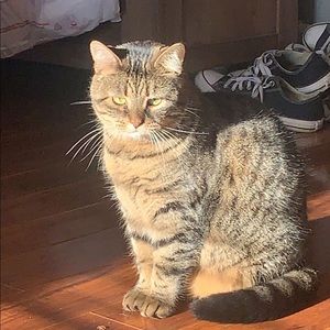 Meet your Posher, Emily